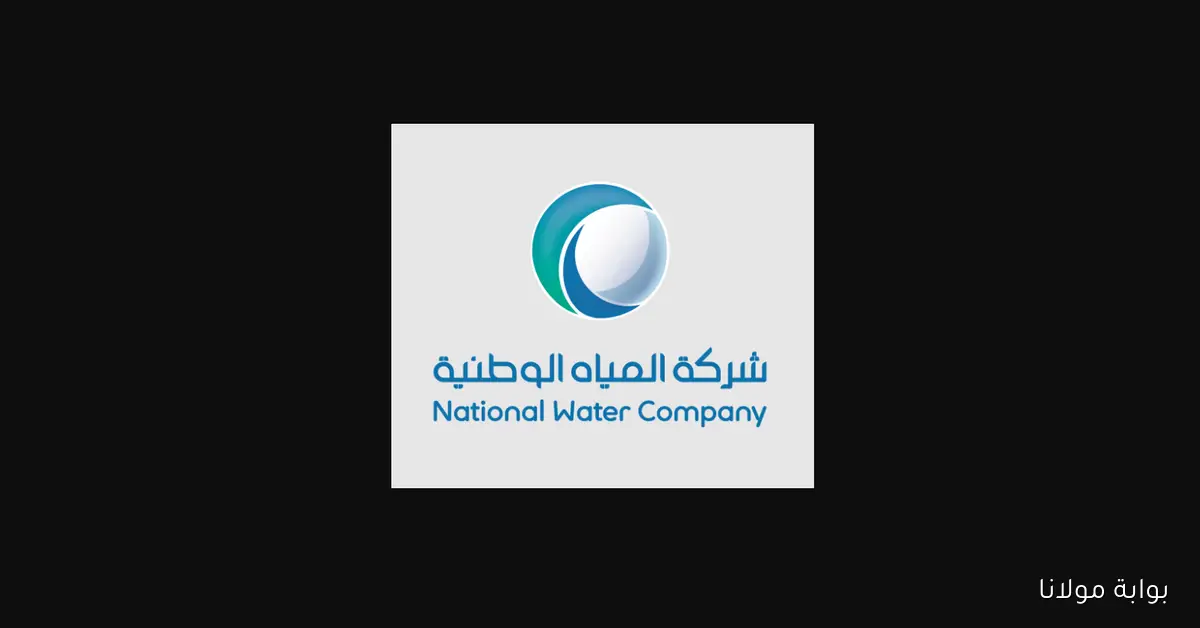 المياه الوطنية توضح خطوات توثيق العدادات إلكترونيًا… قرار إلزامي للمستأجرين والملاك