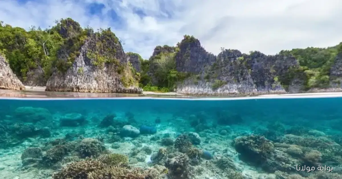 اليونسكو تضيف 26 محمية طبيعية جديدة إلى قائمة التراث العالمي