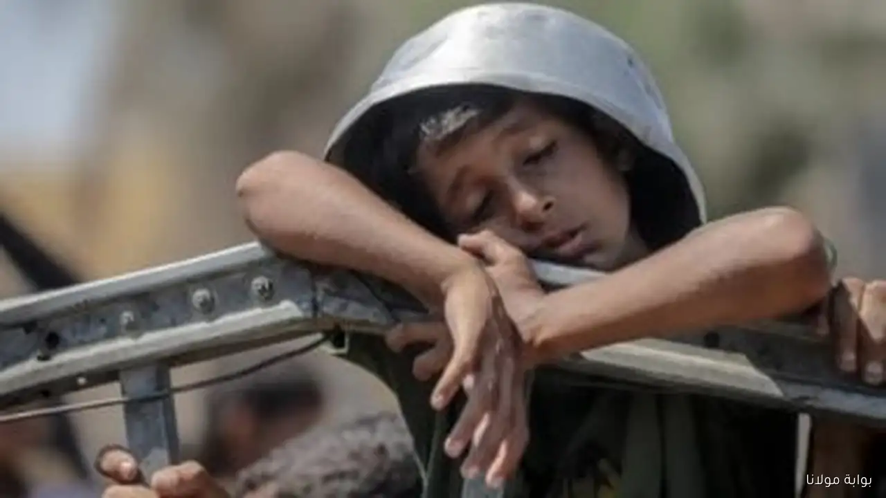 اليونيسف تكشف عن تجاوز معدل سوء التغذية بين الأطفال في غزة الأرقام القياسية