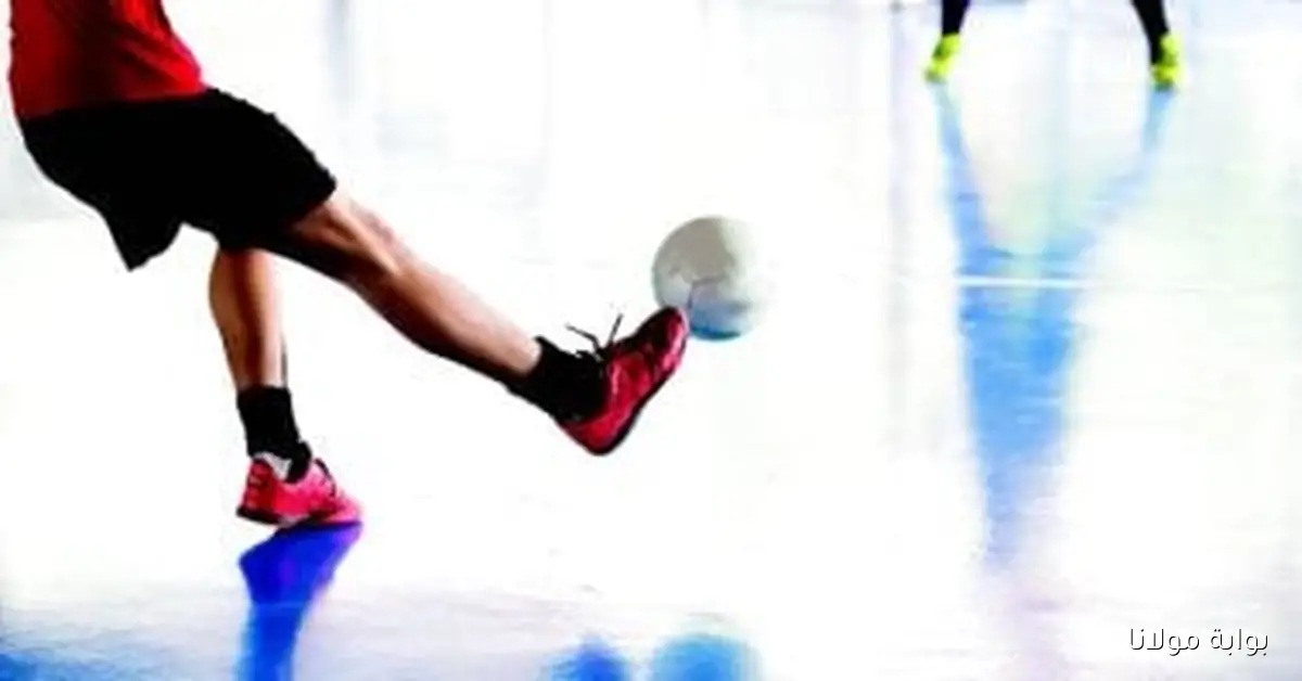 انطلاق موسم 2025-2026 للدوري المصري لكرة الصالات في 7 أكتوبر