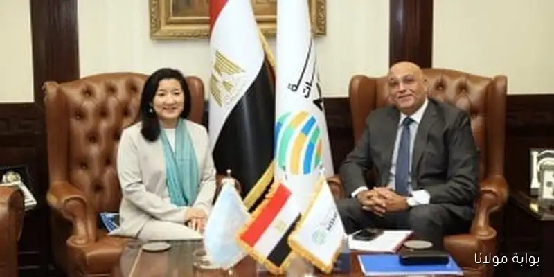 باسل رحمي يؤكد أن برنامج الأمم المتحدة الإنمائي في مصر يعد شريكًا استراتيجيًا لجهاز تنمية المشروعات