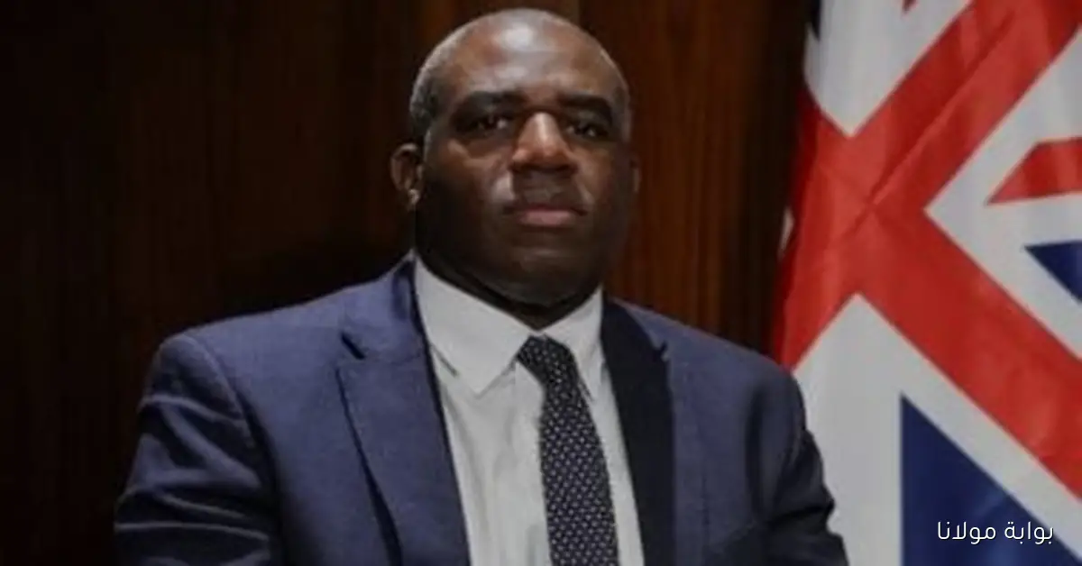 بريطانيا تستدعي السفير الروسي بسبب انتهاك طائرات مسيرة لأجواء الناتو