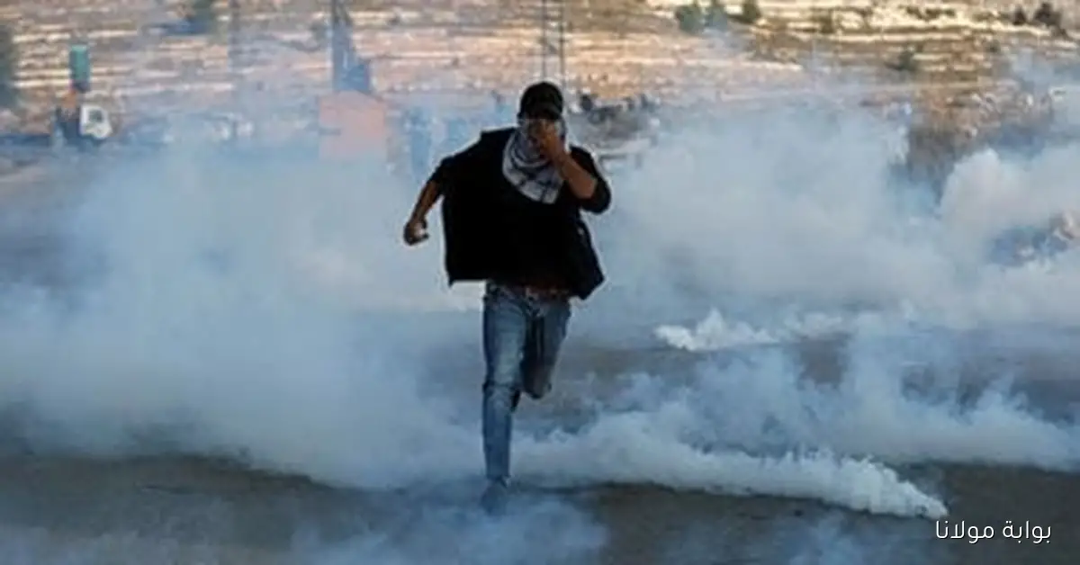 بريطانيا تنتقد الهجوم الإسرائيلي على غزة وتصفه بـ “المتهور والمروع”