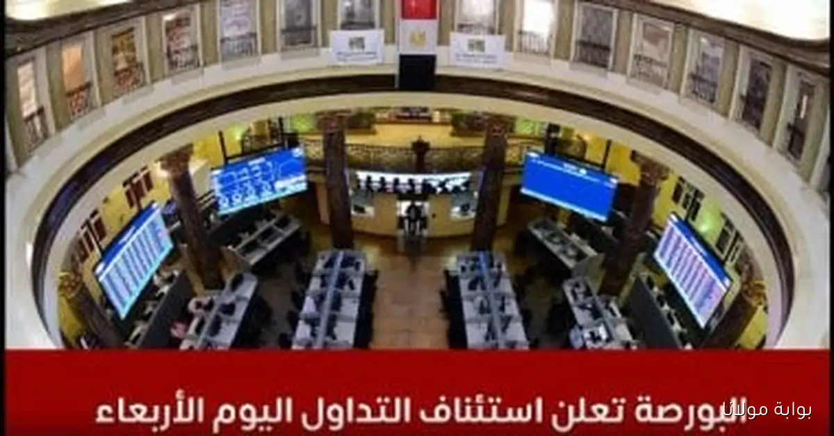 بورصة اليوم تسجل ارتفاعات ملحوظة في النقل والشحن مع صعود ملحوظ لأسهم الأغذية والدواء