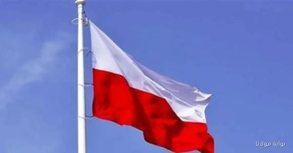 بولندا تعزز قوتها الجوية بنشر مقاتلات لمواجهة تهديد الطائرات المسيرة في المناطق المجاورة