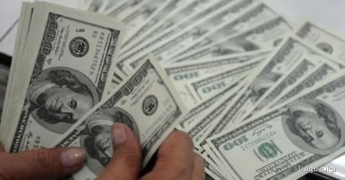 تابع معنا تحديثات سعر الدولار اليوم السبت 20 سبتمبر 2025