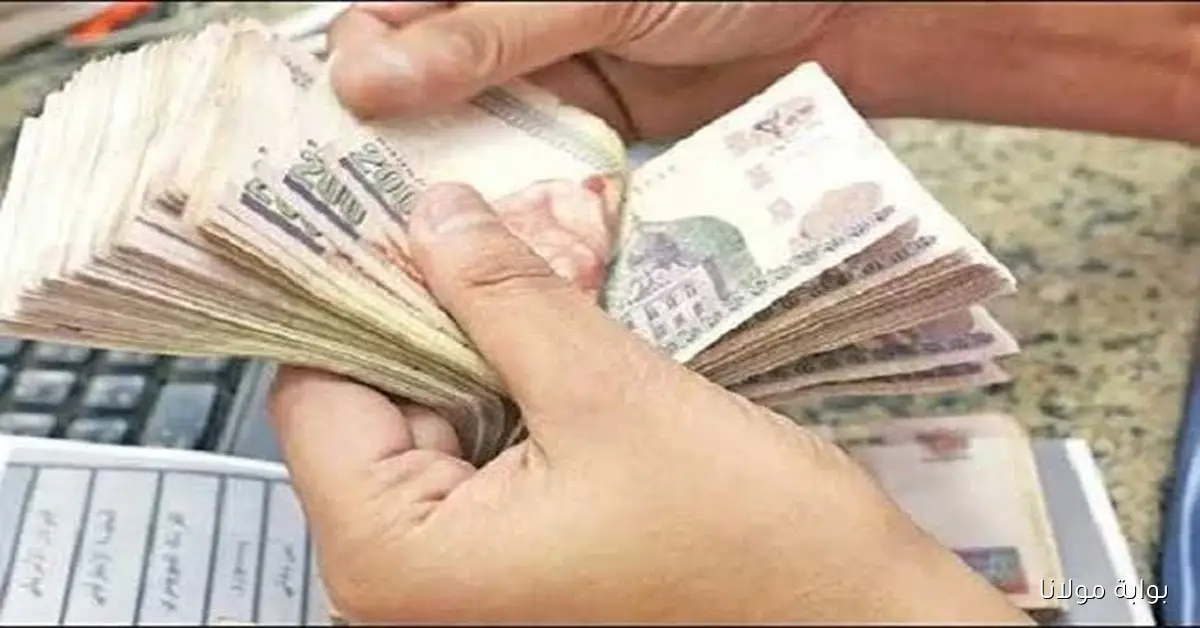 تبادل المعاشات التقاعدية 2025: موعد صرف معاشات أكتوبر وكيفية الاستعلام بسهولة