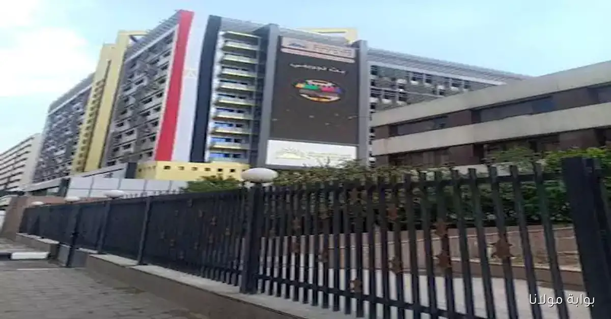 تبادل تجاري بين مصر وإسبانيا يصل إلى 1.5 مليار دولار خلال نصف عام