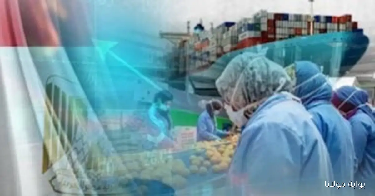 تبادل تجاري قوي بين مصر وسنغافورة بقيمة 137 مليون دولار