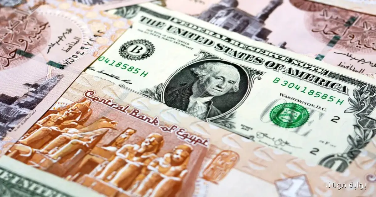تحديث لحظى.. سعر الدولار اليوم الجمعة 26 سبتمبر 2025 في البنوك مقابل الجنيه المصري