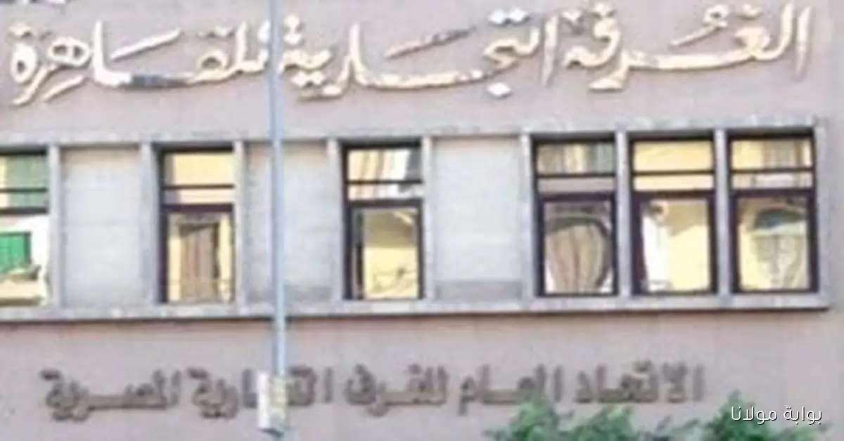 تحذير من غرفة القاهرة التجارية: التهرب الجمركي يهدد موارد الدولة المالية الكبيرة