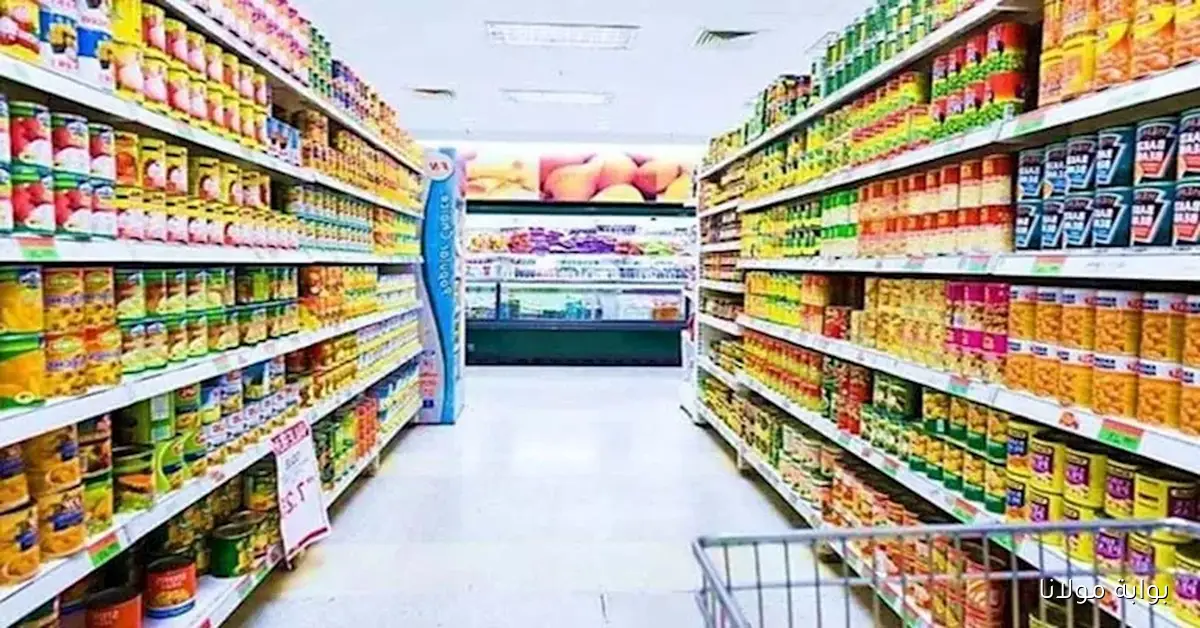 كيلو الأرز المعبأ بكام .. تراجع أسعار الجبن وسط تغيرات في الأسواق اليوم