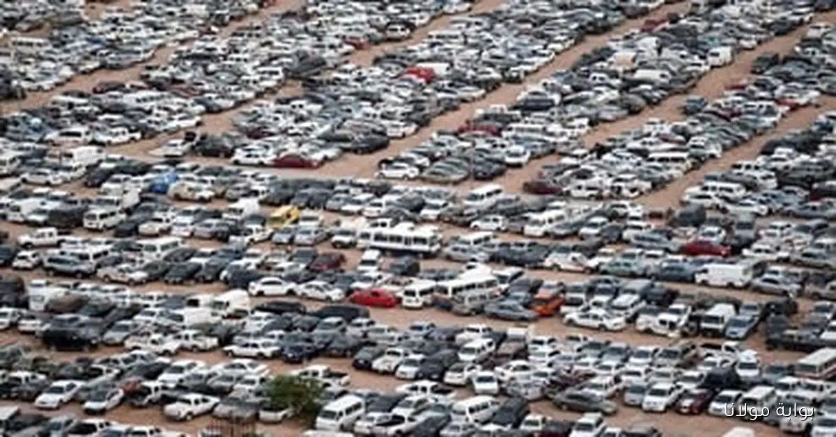 تراجع ملحوظ في مبيعات السيارات الملاكي بنسبة 7.9% في أغسطس 2025