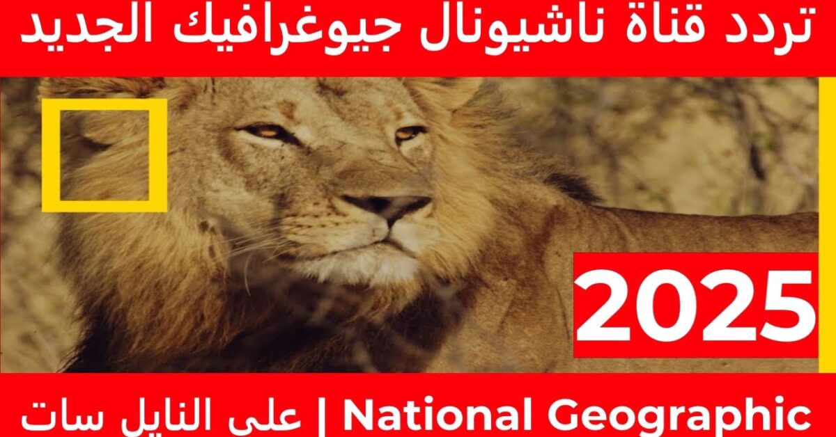 استمتع بالعلوم والطبيعة.. تردد قناة National Geographic Abu Dhabi