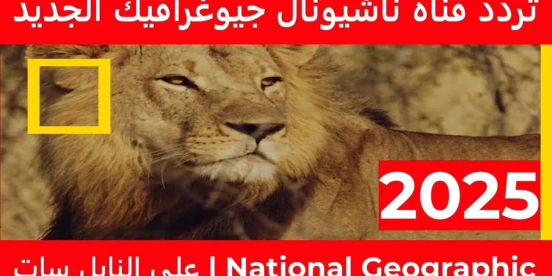 بتحب الاستكشاف.. إعرف تردد قناة ناشيونال جيوغرافيك 2025 لتعيش المغامرة