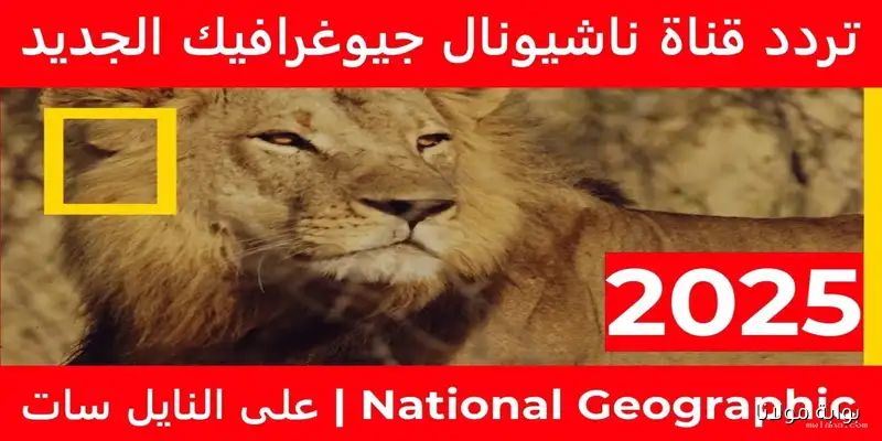 بتحب الاستكشاف.. إعرف تردد قناة ناشيونال جيوغرافيك 2025 لتعيش المغامرة