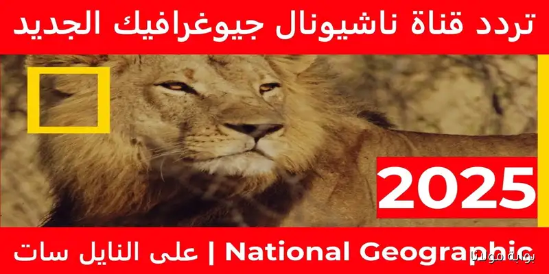 استعدوا للمغامرة مع تردد قناة ناشيونال جيوغرافيك الجديد لعام 2025 على الأقمار الصناعية المختلفة