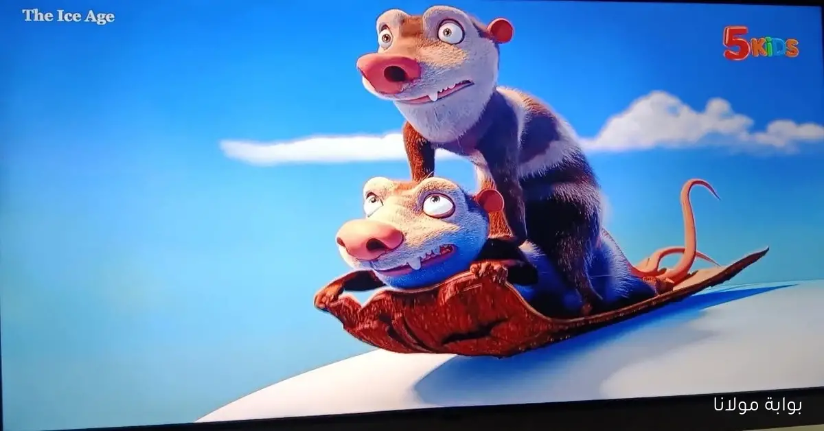 أفلام مصرى مدبلجه.. تردد قناه kids 5 الجديد بدون أي إعلان
