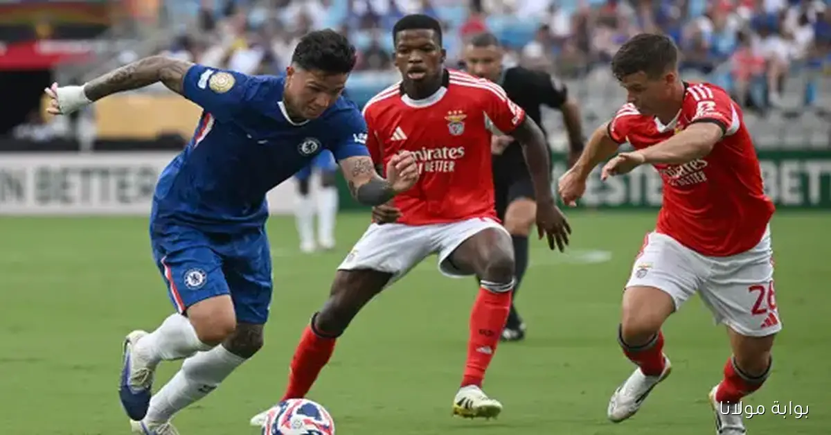 القنوات الناقلة لمباراة تشيلسي ضد بنفيكا في دوري أبطال أوروبا موسم 2025-2026
