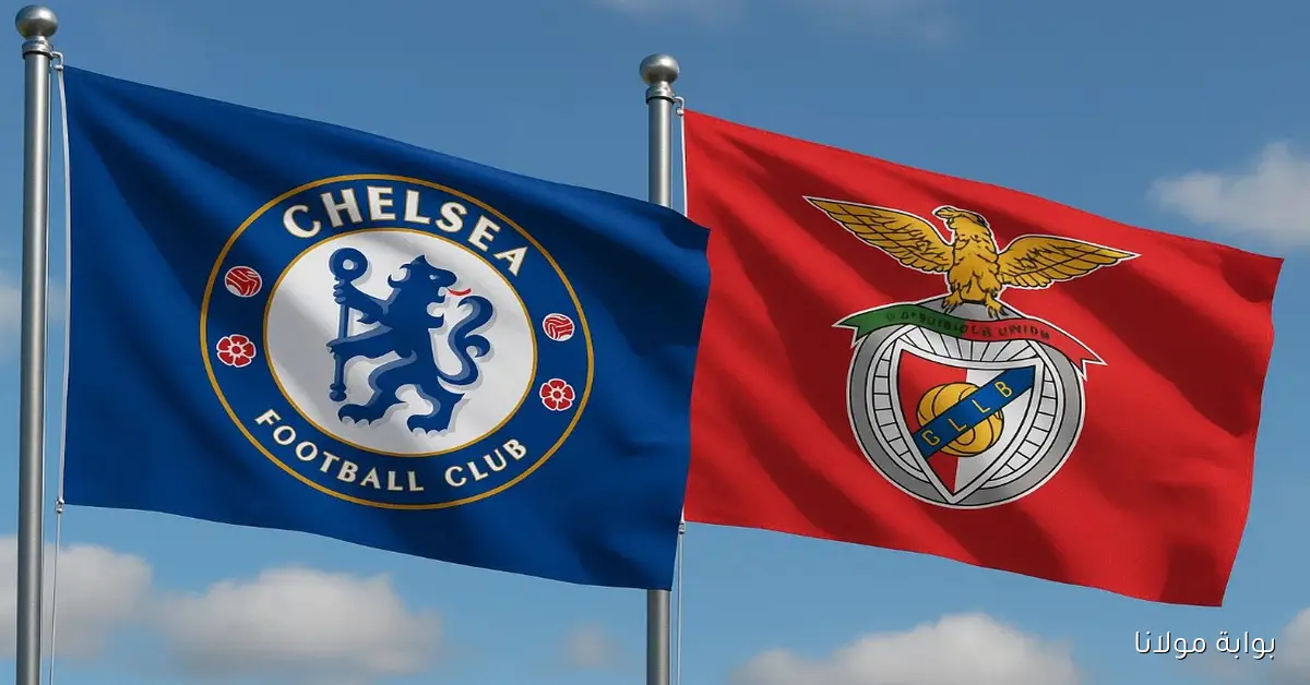 إنتصار البلوز.. يلا شوت الآن نتيجة مباراة تشيلسي وبنفيكا في دوري أبطال أوروبا