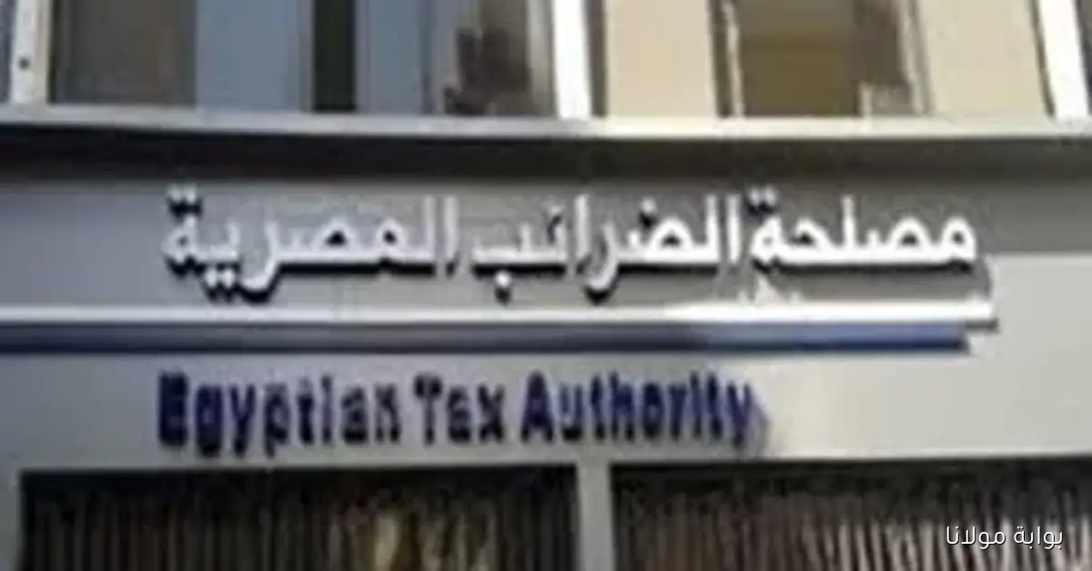 تطبيق نظام SAP الجديد لتحسين إجراءات العمل الضريبي في القاهرة