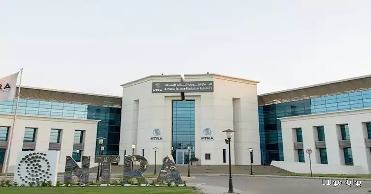 تعاون بين تنظيم الاتصالات والجهات المعنية بذوي الإعاقة لتحسين الخدمات الرقمية