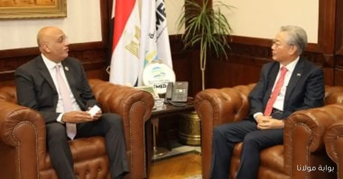 تعاون مثمر بين جهاز تنمية المشروعات وكوريا الجنوبية لتبادل الخبرات وتعزيز التنمية