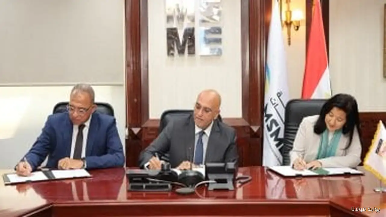 تعاون مثمر بين جهاز تنمية المشروعات ومعهد التخطيط القومي وبرنامج الأمم المتحدة الإنمائي لتعزيز التنمية المستدامة
