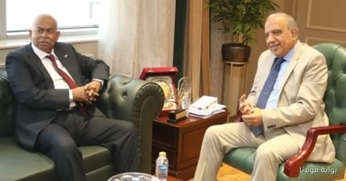 تعاون مثمر بين وزيري الكهرباء والنفط السوداني لتعزيز العلاقات بين البلدين