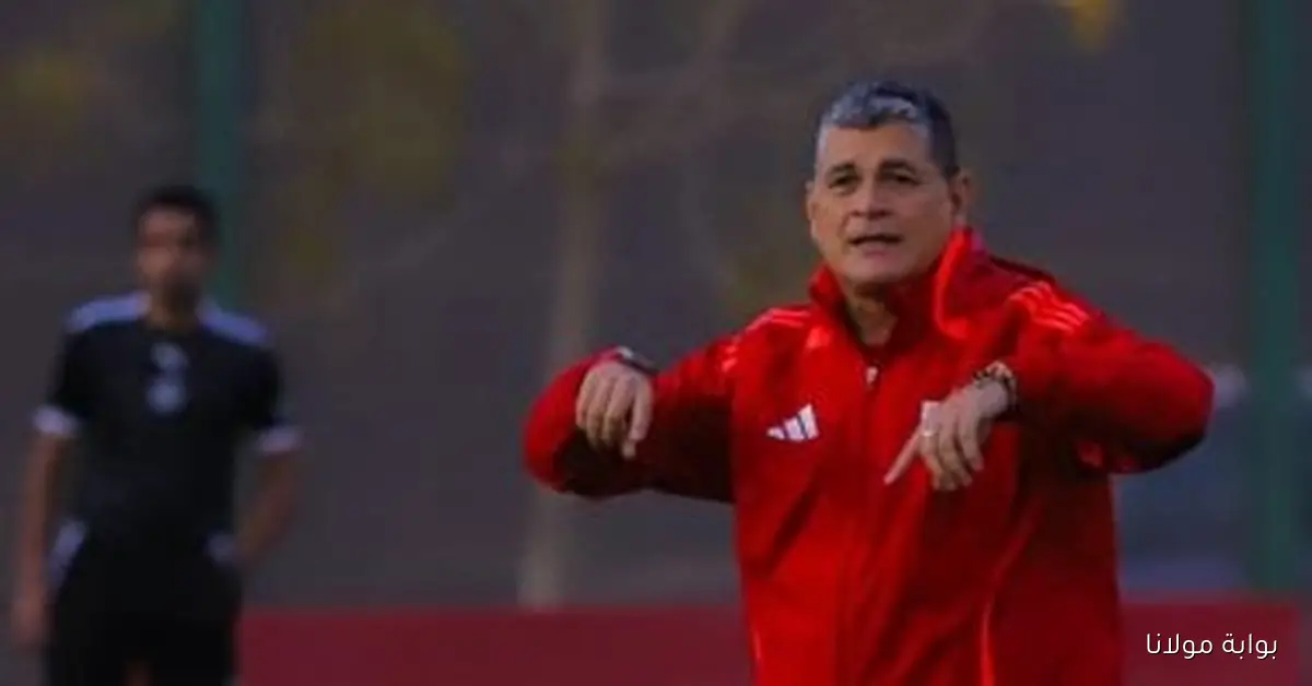 تعرف على 3 حكام مرشحين للانضمام إلى القائمة الدولية الجديدة