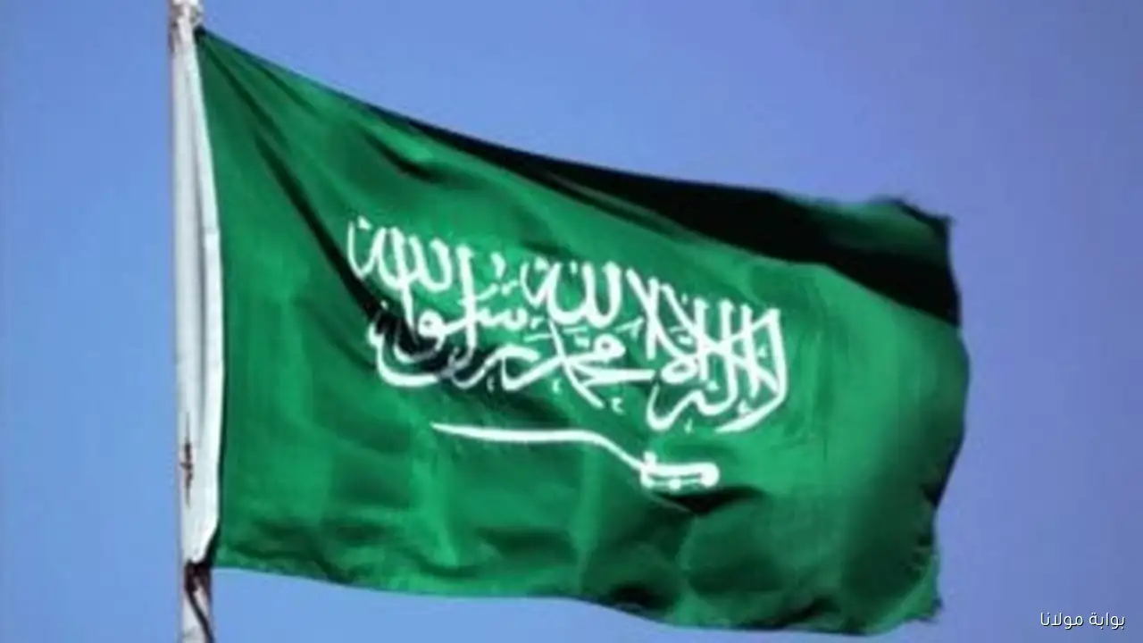 تعرف على تفاصيل نظام الكفيل الجديد في السعودية الذي يعزز حرية العامل الوافد