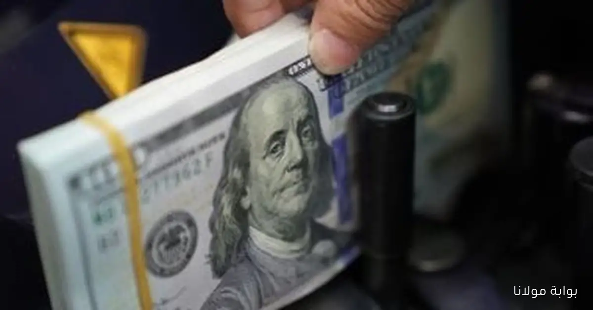 تعرّف على سعر الدولار مقابل الجنيه اليوم الجمعة 19 سبتمبر 2025 وأحدث المستجدات