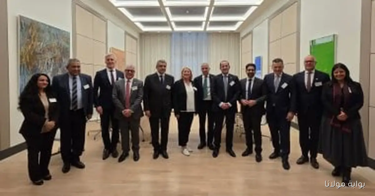 تعزيز التعاون المصري الألماني في مجالات متعددة وفقاً لوزير المالية