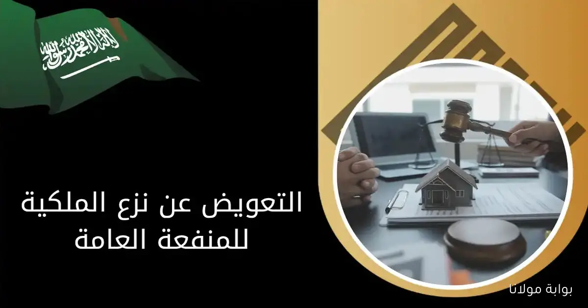 صرف تعويضات نزع الملكية 2025 بأمر ملكي وتحويلها لعينية بحد أقصى 90 يومًا