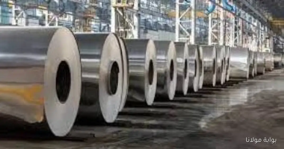 تمويل المشروعات الصغيرة يحقق إنجازًا كبيرًا بزيادة 84.7 مليار جنيه و3.5 مليون مستفيد حتى يوليو