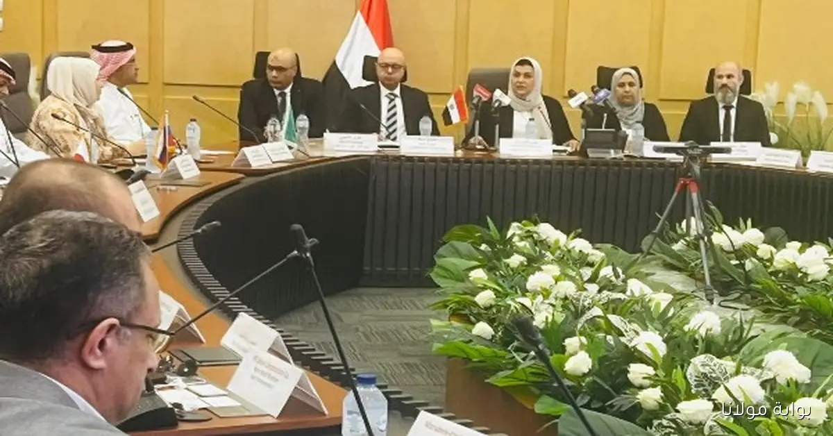 جلسة استماع حول تدابير حماية واردات الصلب المدرفل على الساخن في التجارة الخارجية