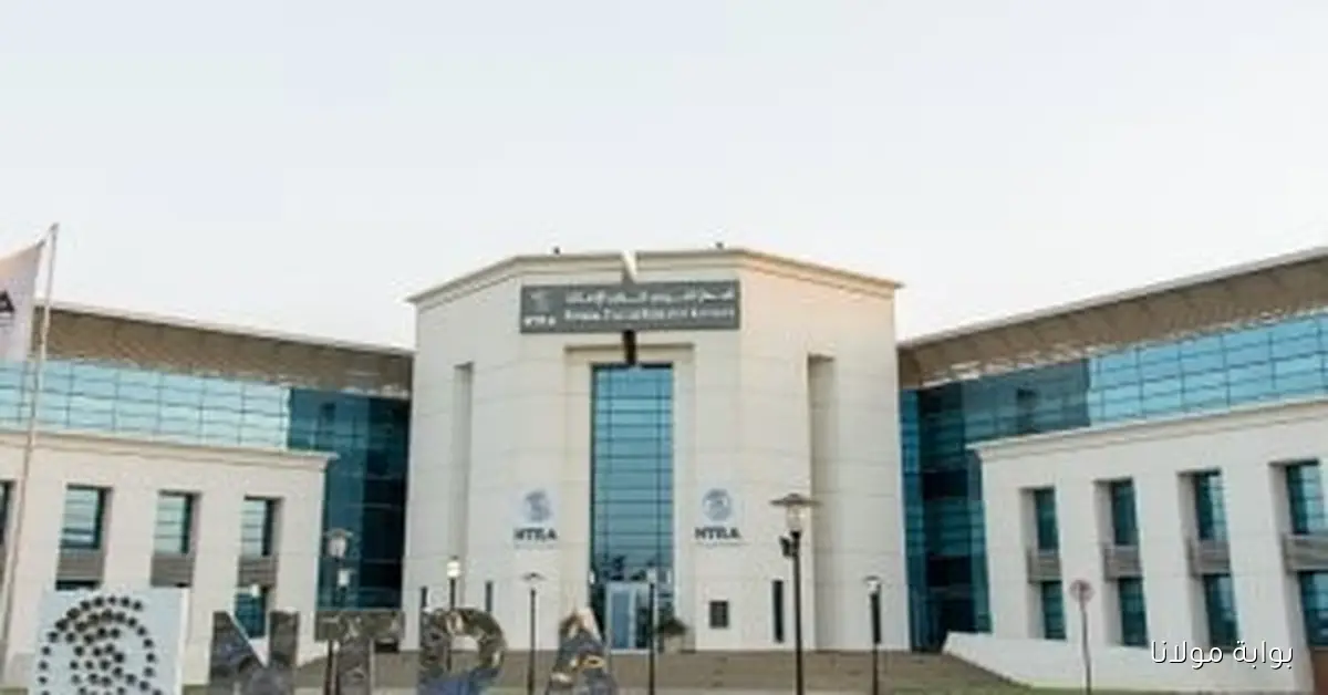 جهاز الاتصالات يخطو نحو تحسين الخدمات الرقمية لذوي الإعاقة من خلال بروتوكول جديد