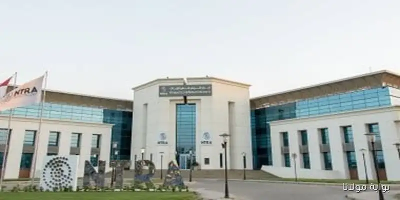 جهاز الاتصالات يعلن عن 46.3 مليون محفظة إلكترونية وزيادة 80% في العمليات المالية