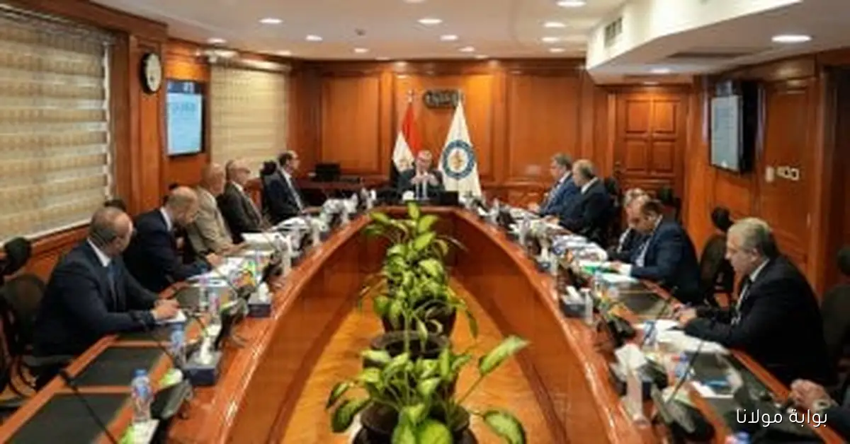 جهاز تنظيم سوق الغاز يستعرض استراتيجيات جديدة لتعزيز التنافسية ودعم الصناعة