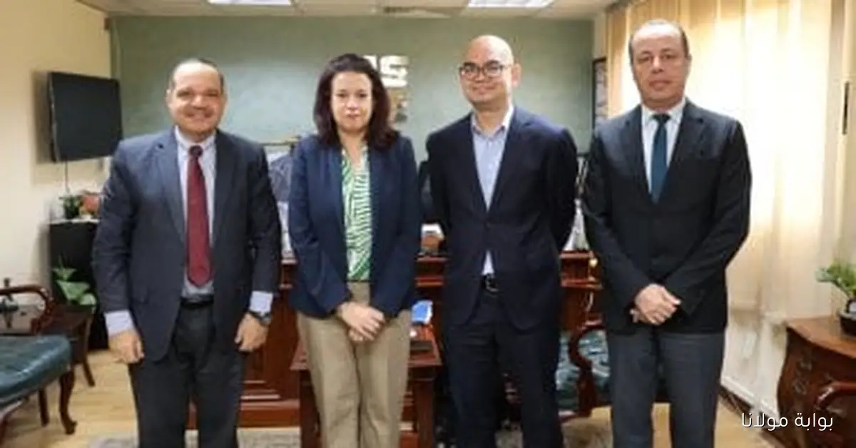 جهاز تنمية المشروعات يفتح آفاق جديدة بالتعاون مع مؤسسة سنغافورية لنقل التكنولوجيا