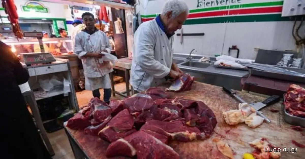 خبراء تونسيون: تحديد أسعار اللحوم قرار سيادي «ثمين» لدعم المواطنين