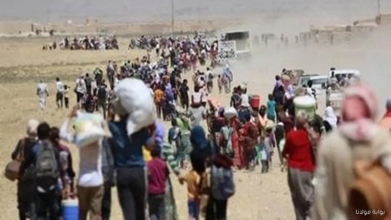 خبراء يسلطون الضوء على فجوة تمويلية تتجاوز 7 مليارات دولار لتلبية احتياجات اللاجئين