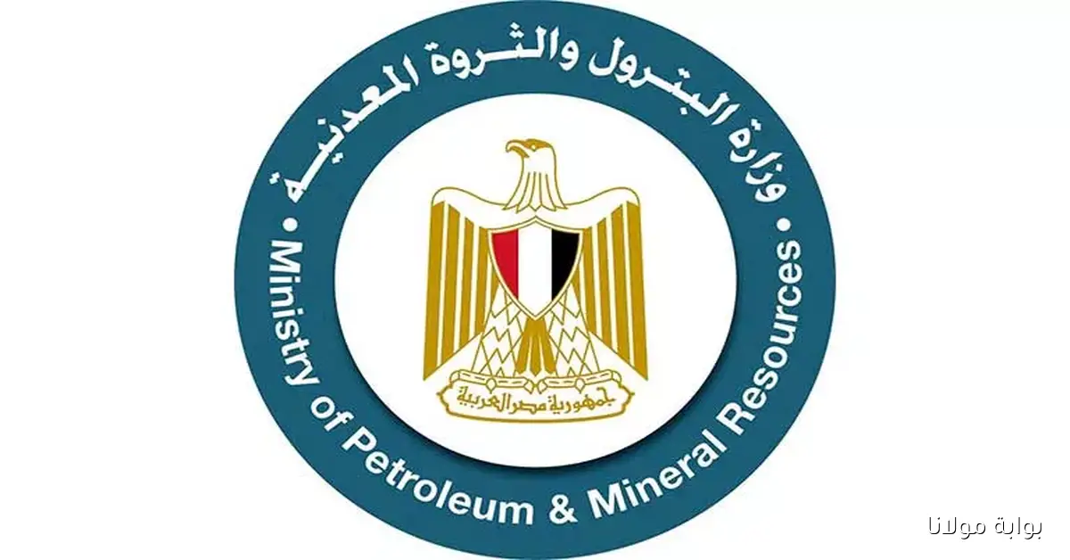 دراسة جديدة تعزز إدارة سلامة العمليات في مصر من خلال دبلومة متخصصة في قطاع البترول