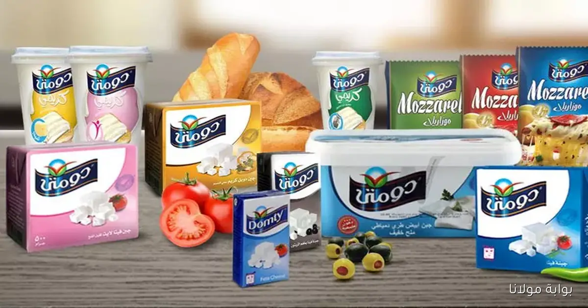 دومتى تبحث عن فرصة لإنشاء مصنع جديد في السعودية