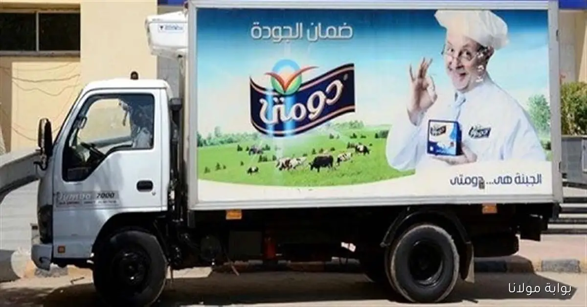 دومتي تنتظر موافقة هيئة الاستثمار على خطة تقسيم الشركة