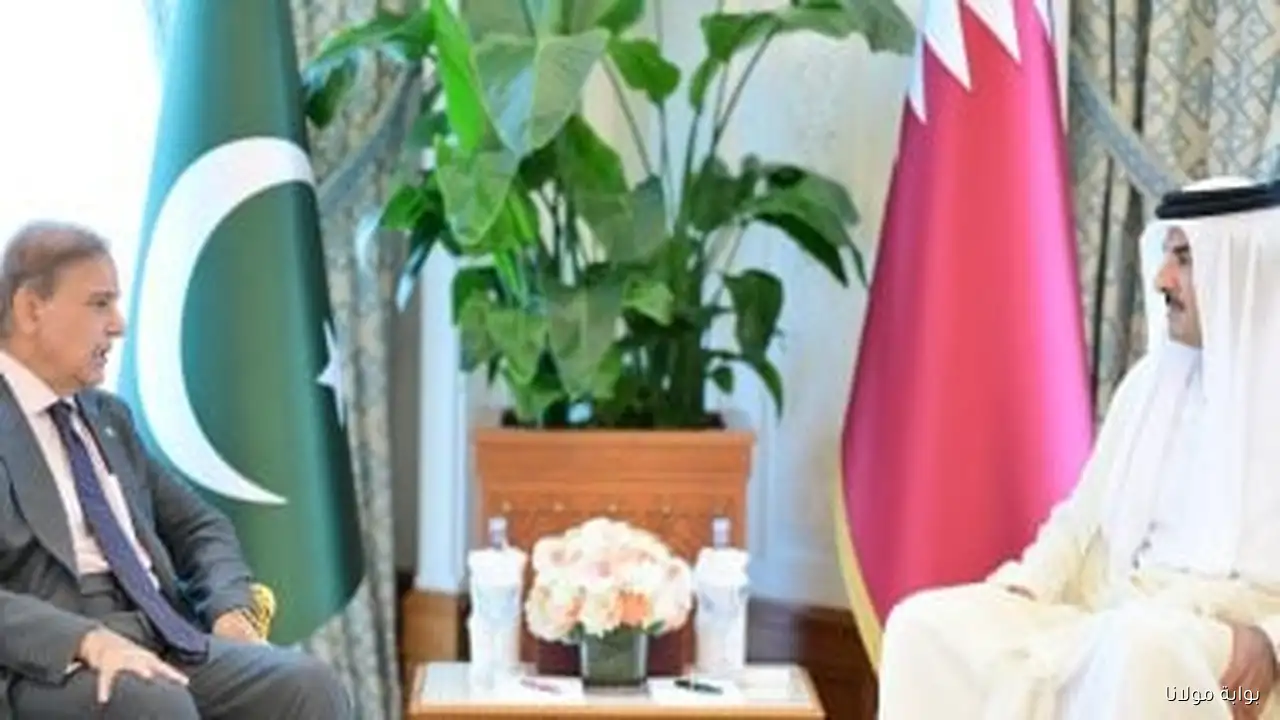 رئيس وزراء باكستان يلتقي أمير قطر للتعبير عن التضامن بعد الهجوم الإسرائيلي