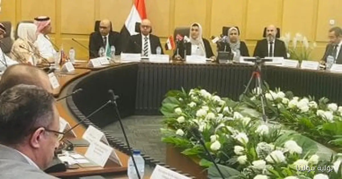 رسوم واردات الحديد تهدف إلى دعم وتعزيز الصناعة المحلية