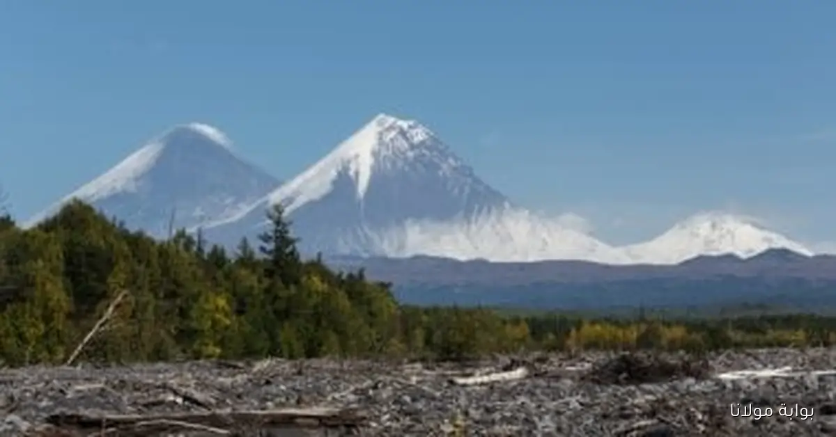 روسيا ترفع حالة التأهب بعد زلزال بقوة 7.4 وتحذر من خطر تسونامي في كامتشاتكا