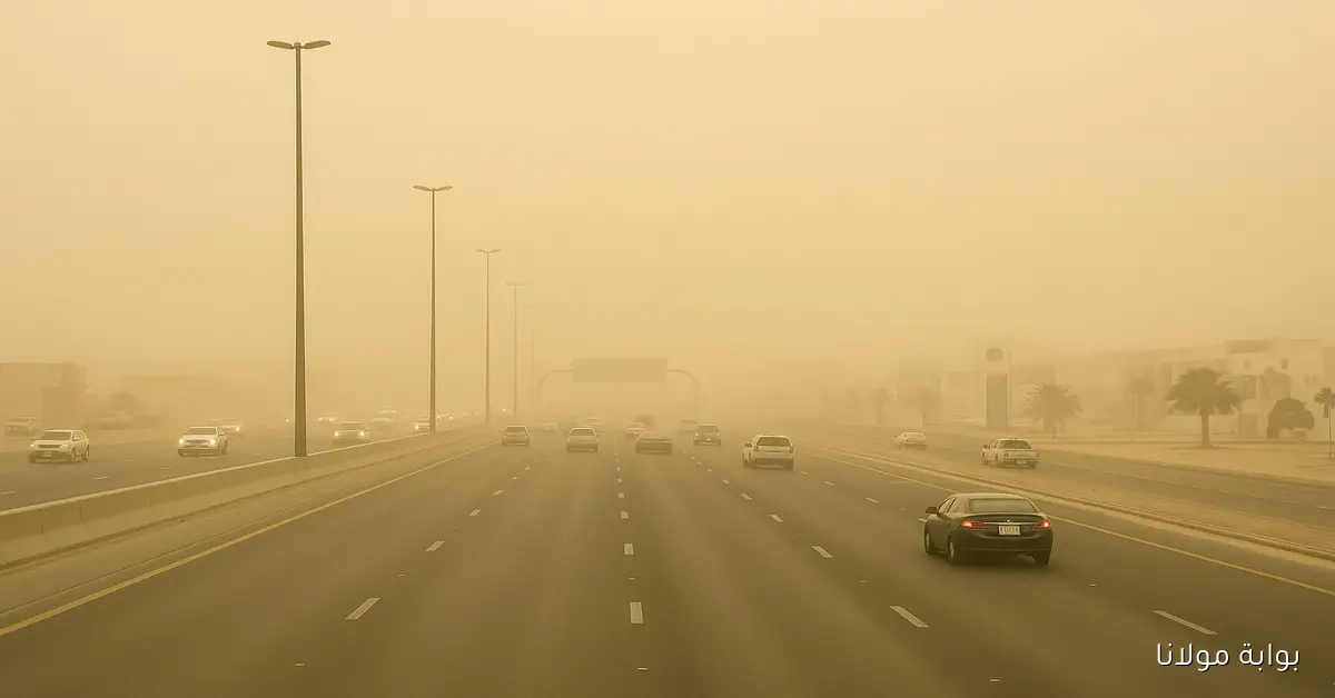 رياح مثيرة للأتربة تضرب الشرقية والرياض ونجران اليوم وفقًا لتوقعات الأرصاد