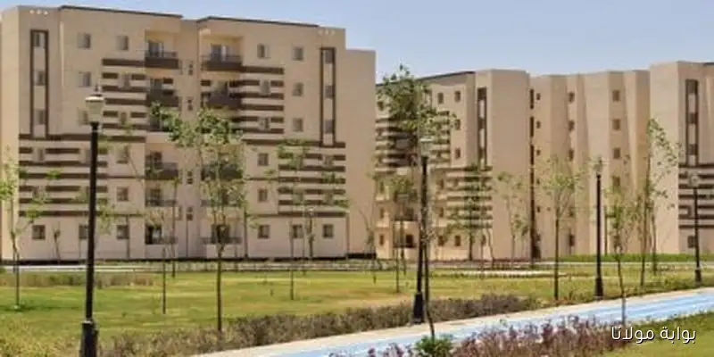 زيادة ملحوظة في إقبال المصريين بالخارج على المرحلة الثانية من مبادرة “بيتك في مصر”